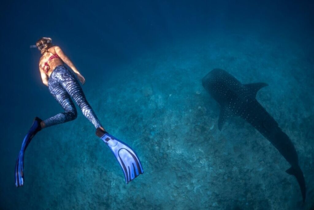 Try-World-Class-Freediving