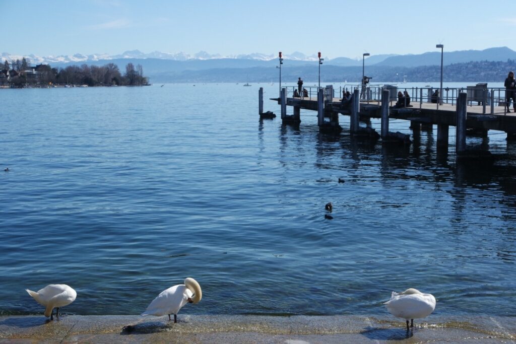 Lake Zurich boat cruise ZSG Bürkliplatz Switzerland summer 2026