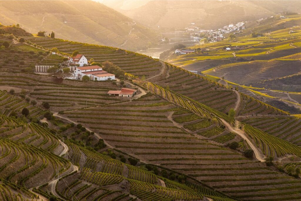 The Douro Valley