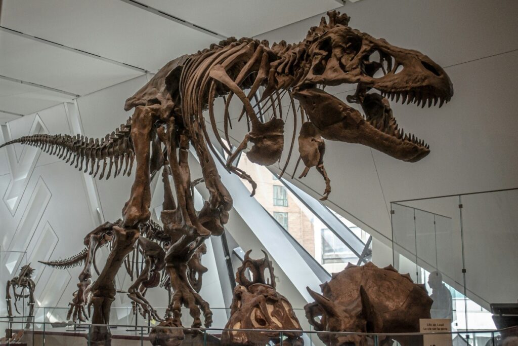 7. Royal Ontario Museum, Midtown Toronto