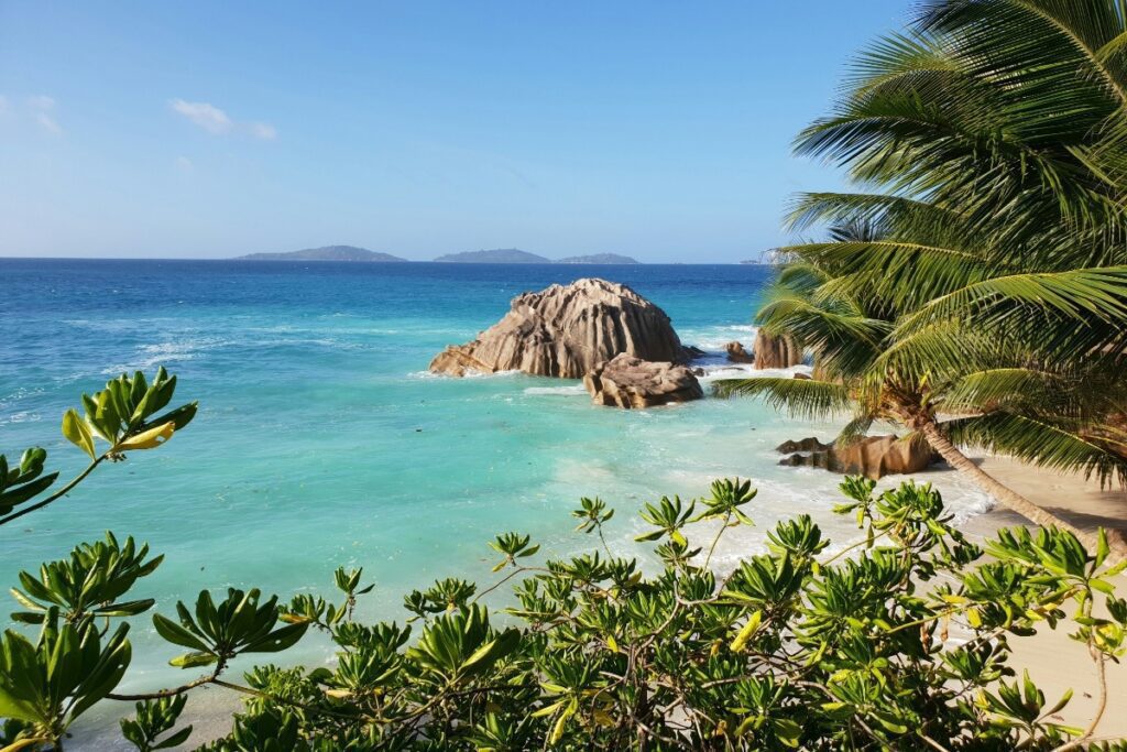 Top 10 Shopping Destinations in Seychelles 2026_2