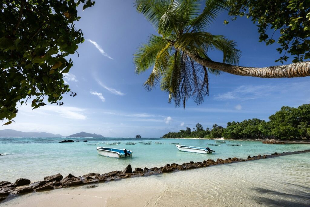 Top 10 Shopping Destinations in Seychelles 2026_3