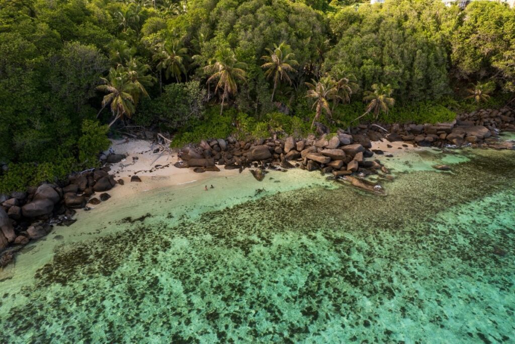 Top 10 Shopping Destinations in Seychelles 2026_6