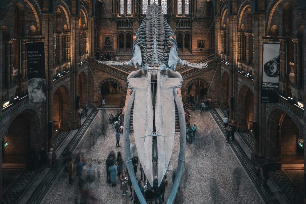 7. Science Museum — South Kensington