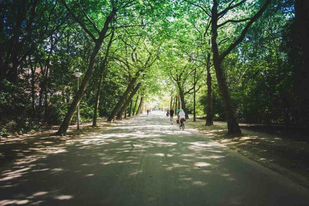 Vondelpark — What Is There to Do