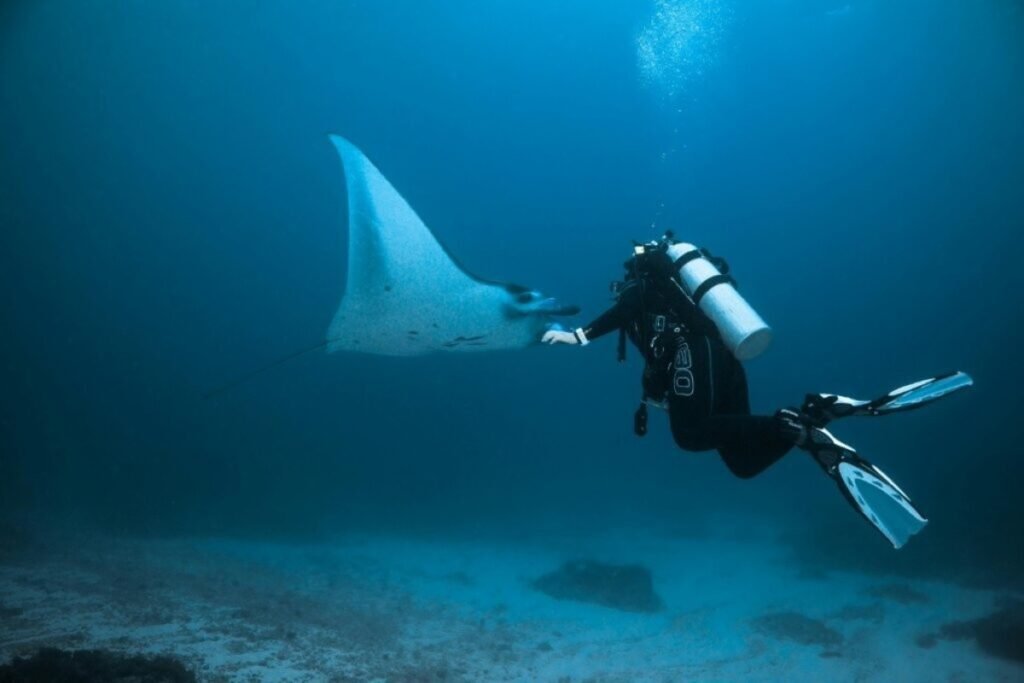 Dive-Into-Marine-Conservation-Tourism