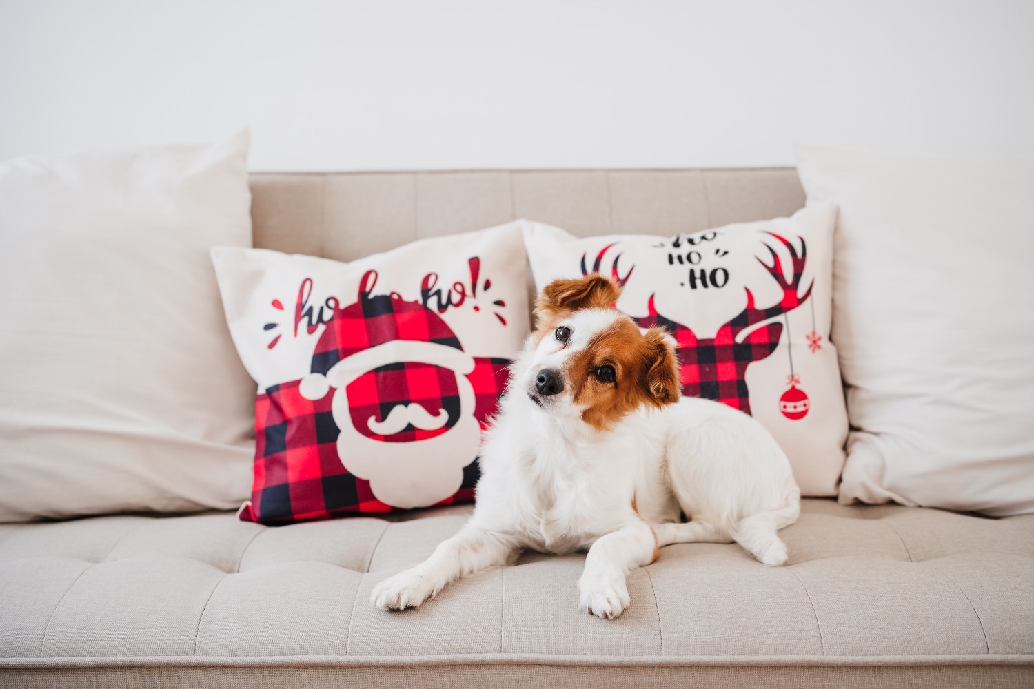 MyPicture Photo Cushions design