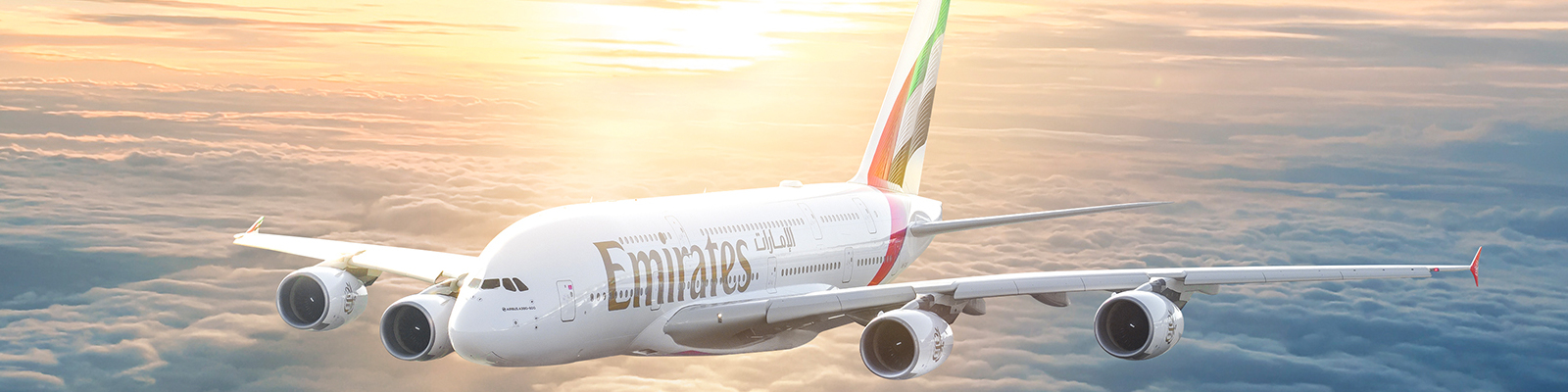 Emirates Skywards membership card