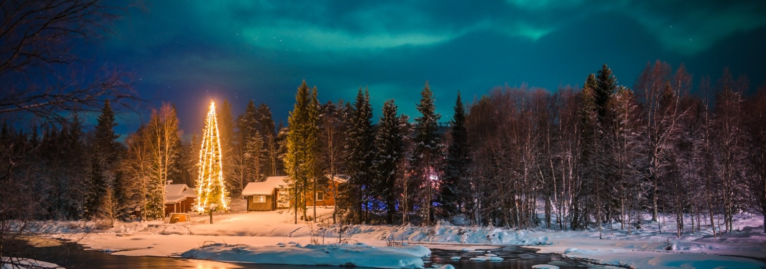 Must-see attractions-Northern Lights-Sky Show