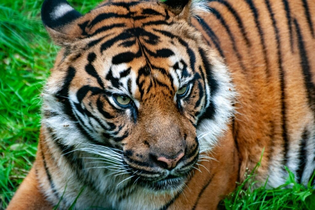 16. Toronto Zoo, Scarborough