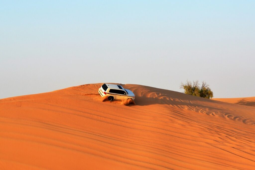 19. Desert Safari, Dubai Desert Conservation Reserve