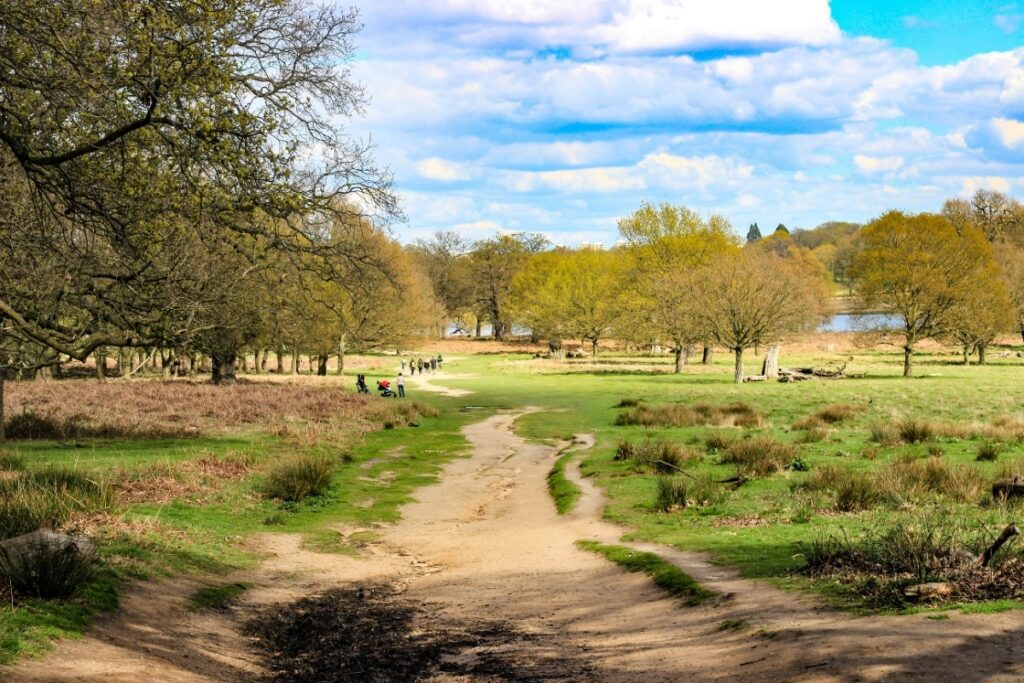 17. Richmond Park — Richmond, Southwest London